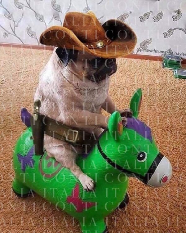 Cowboy Pug